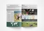 Port Elizabeth Brochure Designer Professional Graphic Lavish Design Gqeberha Services Printing