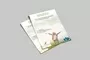 Port Elizabeth Lavish Design Stationery Flyer South Africa Pamphlet Designer Professional Graphic Printing